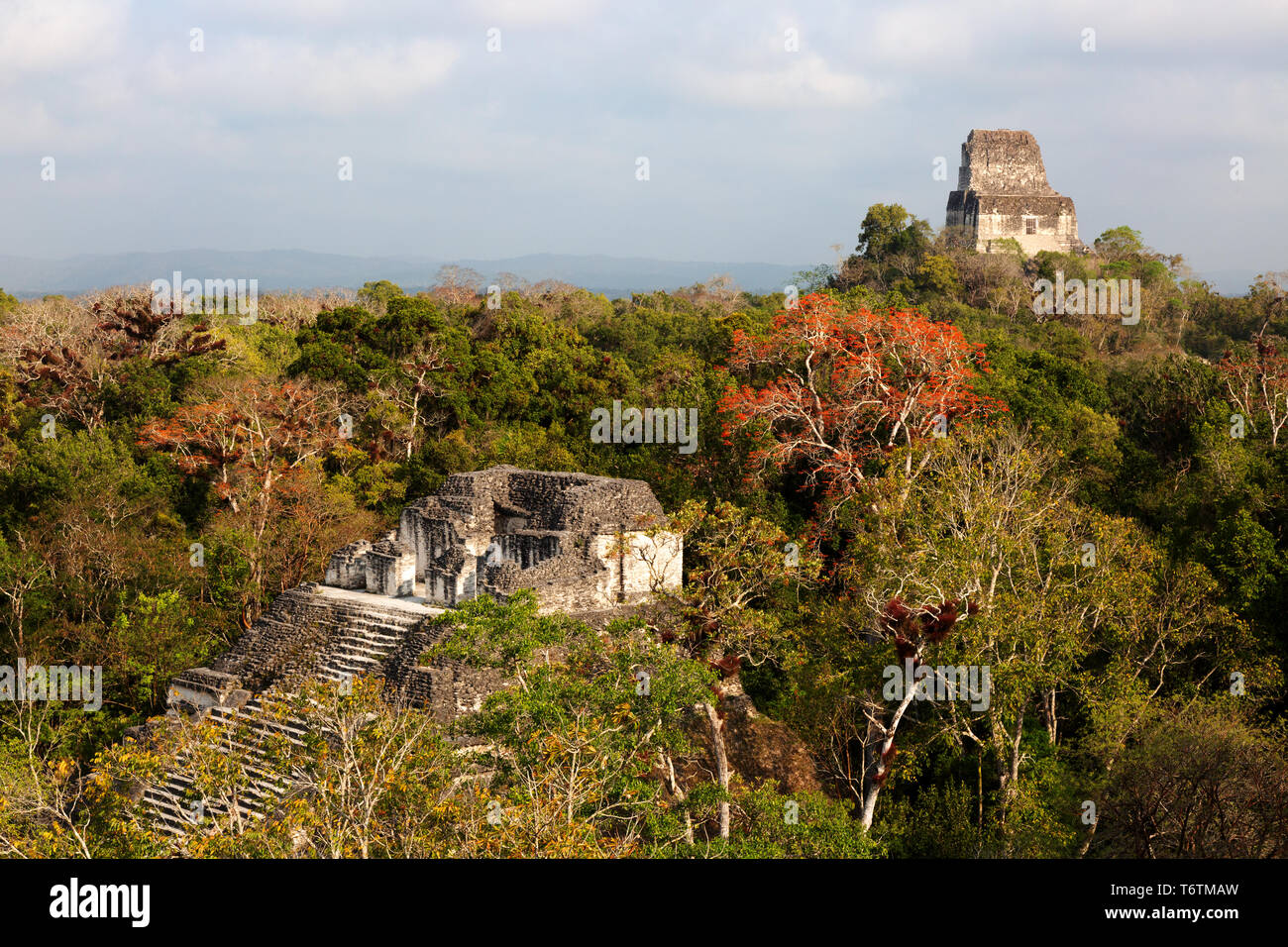 Tikal in Guatemala, in vista del tempio vi dalla sommità del Mundo Perdido piramide, Parco Nazionale di Tikal, Tikal, Guatemala America Centrale Foto Stock