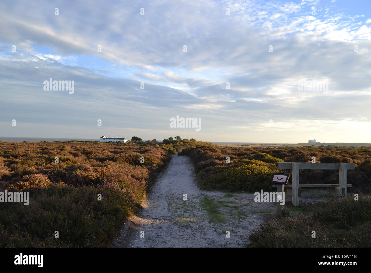 Dunwich Heath inverno, National Trust, Suffolk, Regno Unito Foto Stock