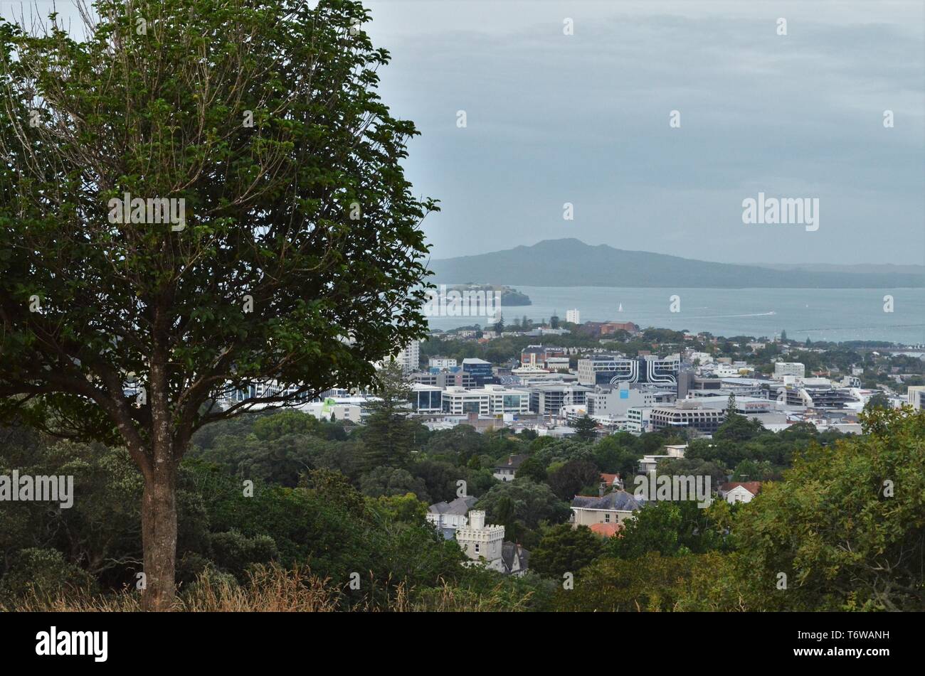 Monte Eden con una vista a Rangitoto Island, Nuova Zelanda Foto Stock