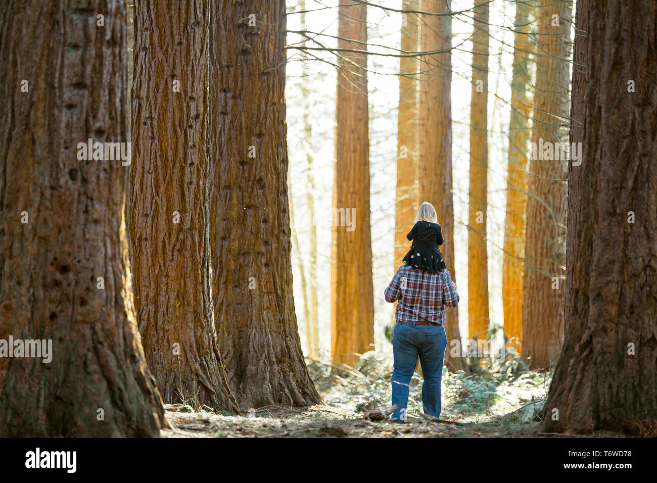Padre porta la sua figlia attraverso la foresta sulle sue spalle Foto Stock