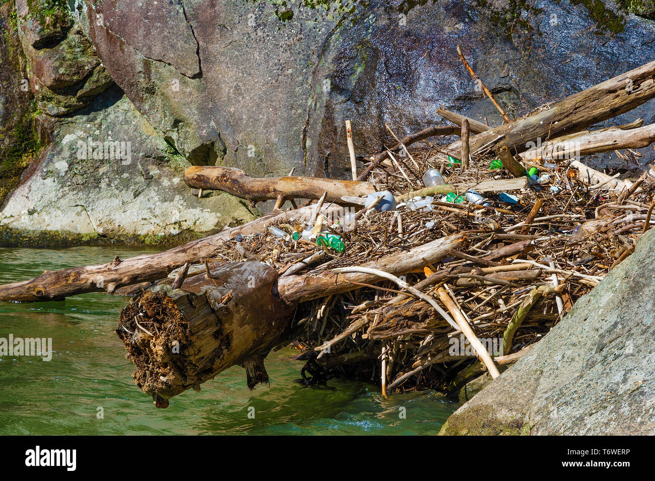 Scartato bottiglie e lattine di bevande a sinistra dietro su una pila di debri lungo il bordo dell'acqua di Elk River in Pisgah National Forest in Avery County, Foto Stock