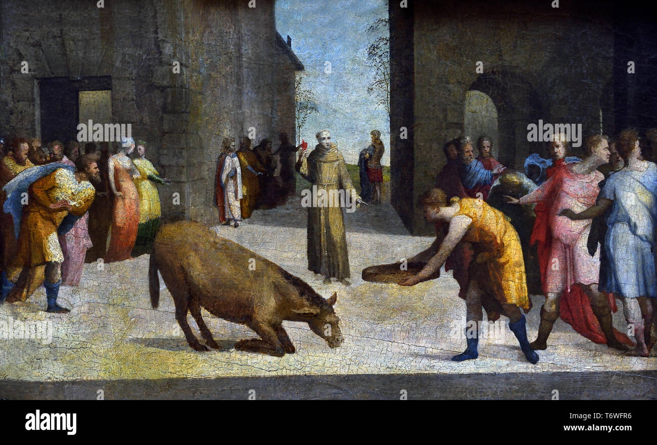 San Antonio e il miracolo della mula di Domenico MECARINO, noto come Domenico Beccafumi Cortine in Valdibiana Montaperti, 1486 - Siena, 1551 Italiano, Italia, Foto Stock