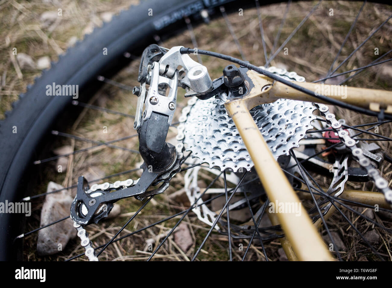 Un'immagine dettagliata di una mountain bike ruota posteriore e il deragliatore posteriore. Foto Stock