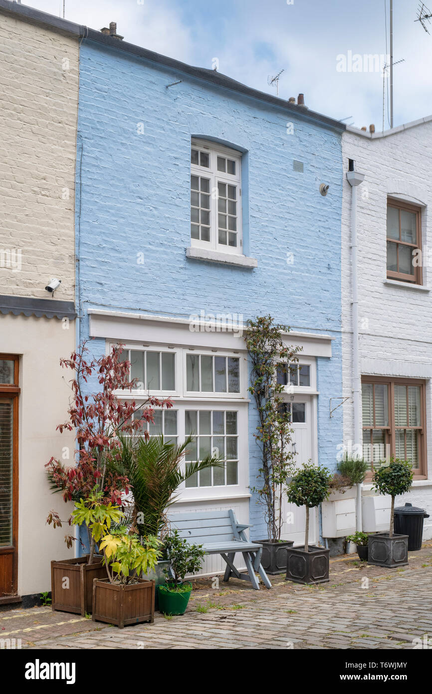 Dipinto di blu casa e piccoli alberi e arbusti in contenitori in Radnor Mews, Bayswater, Londra, Inghilterra Foto Stock
