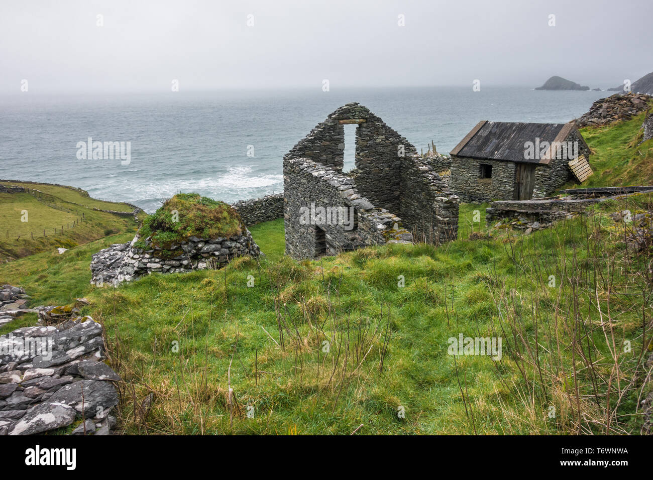 Paesaggio di Dingle in Kerry - Irlanda Foto Stock