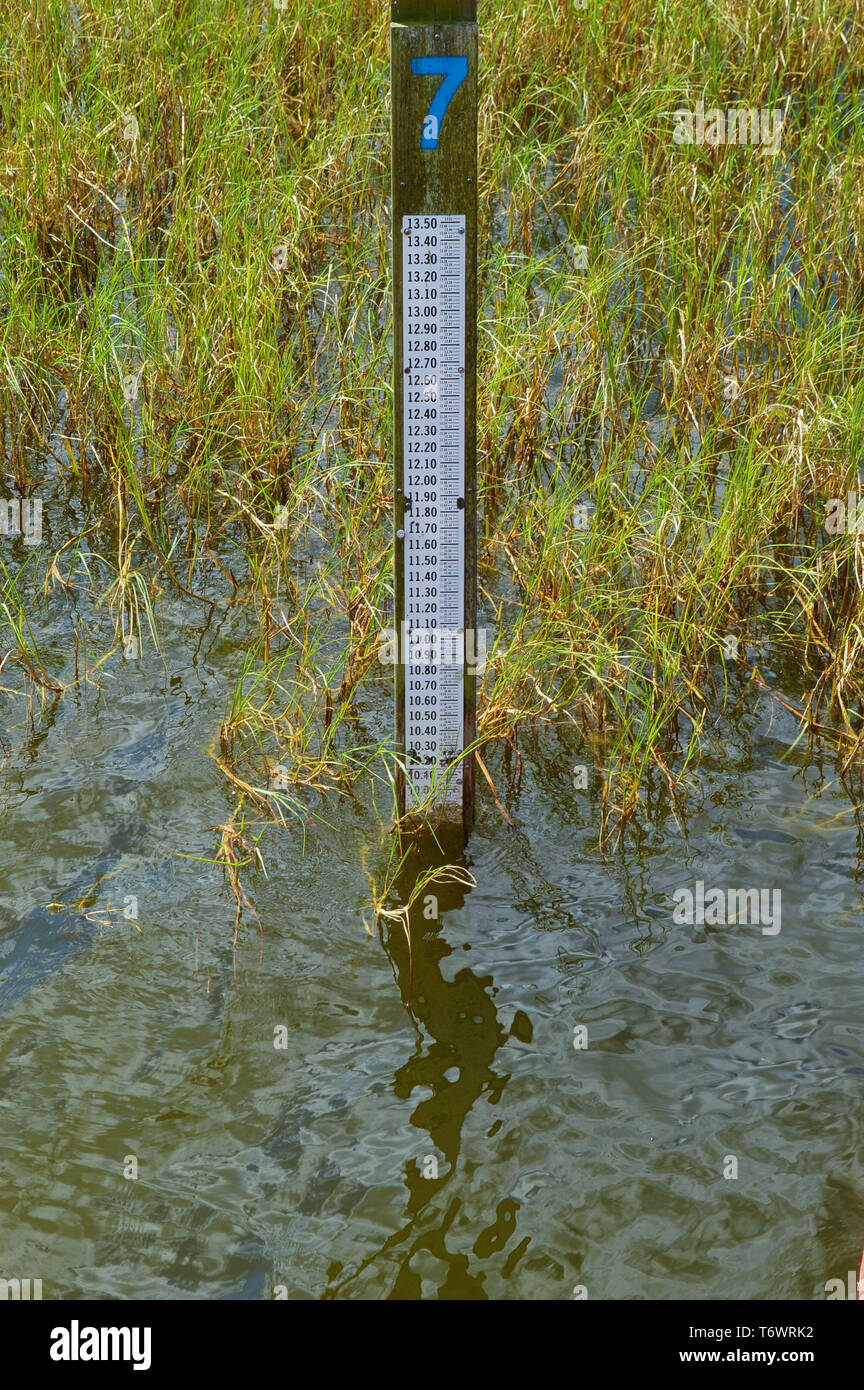 Il personale profondità Manometro Indicatore livello acqua del misuratore di strumento di sorveglianza post righello indicatore altezza di primo piano nel lago di acqua all'aperto di erba Foto Stock