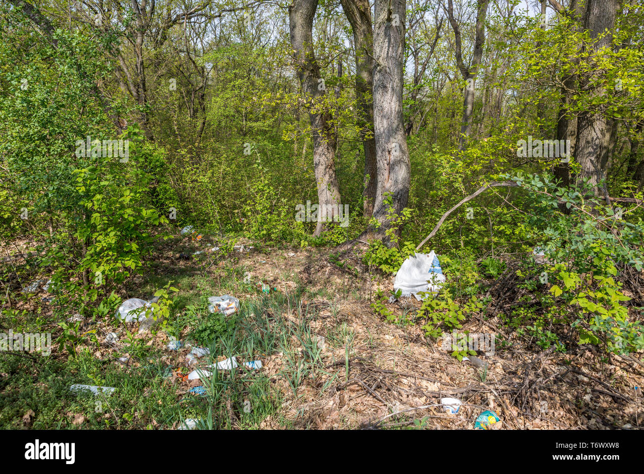 Rifiuti di plastica sotto alberi in una foresta Foto Stock