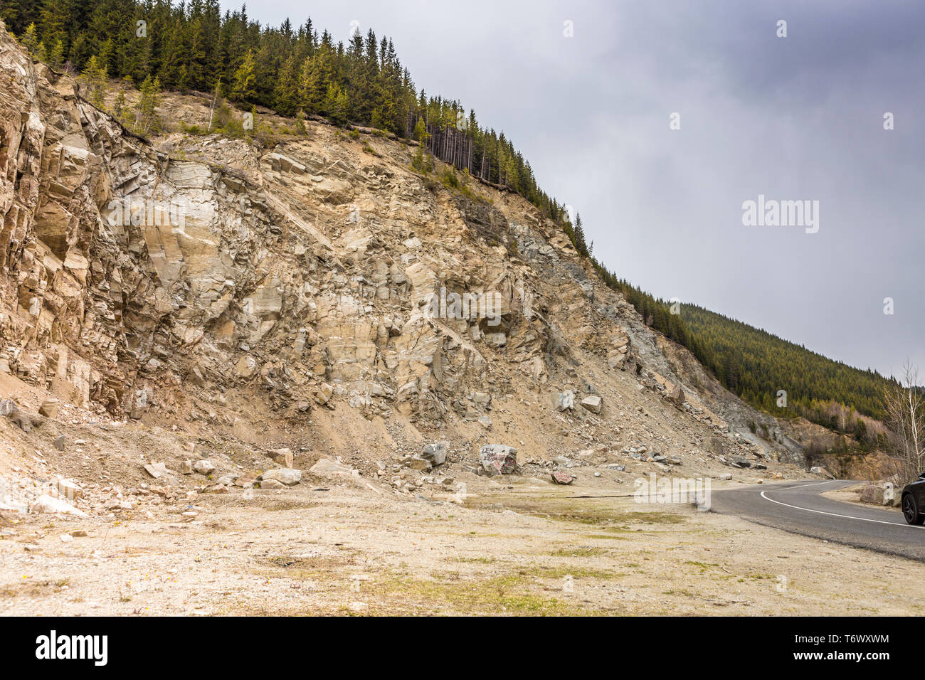 Frana accanto a una strada di campagna e il bordo di un auto nera, Romania Foto Stock