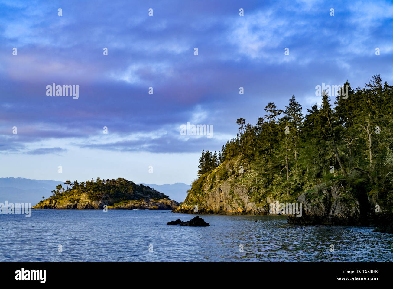 East Sooke parco regionale, l'isola di Vancouver, British Columbia, Canada Foto Stock