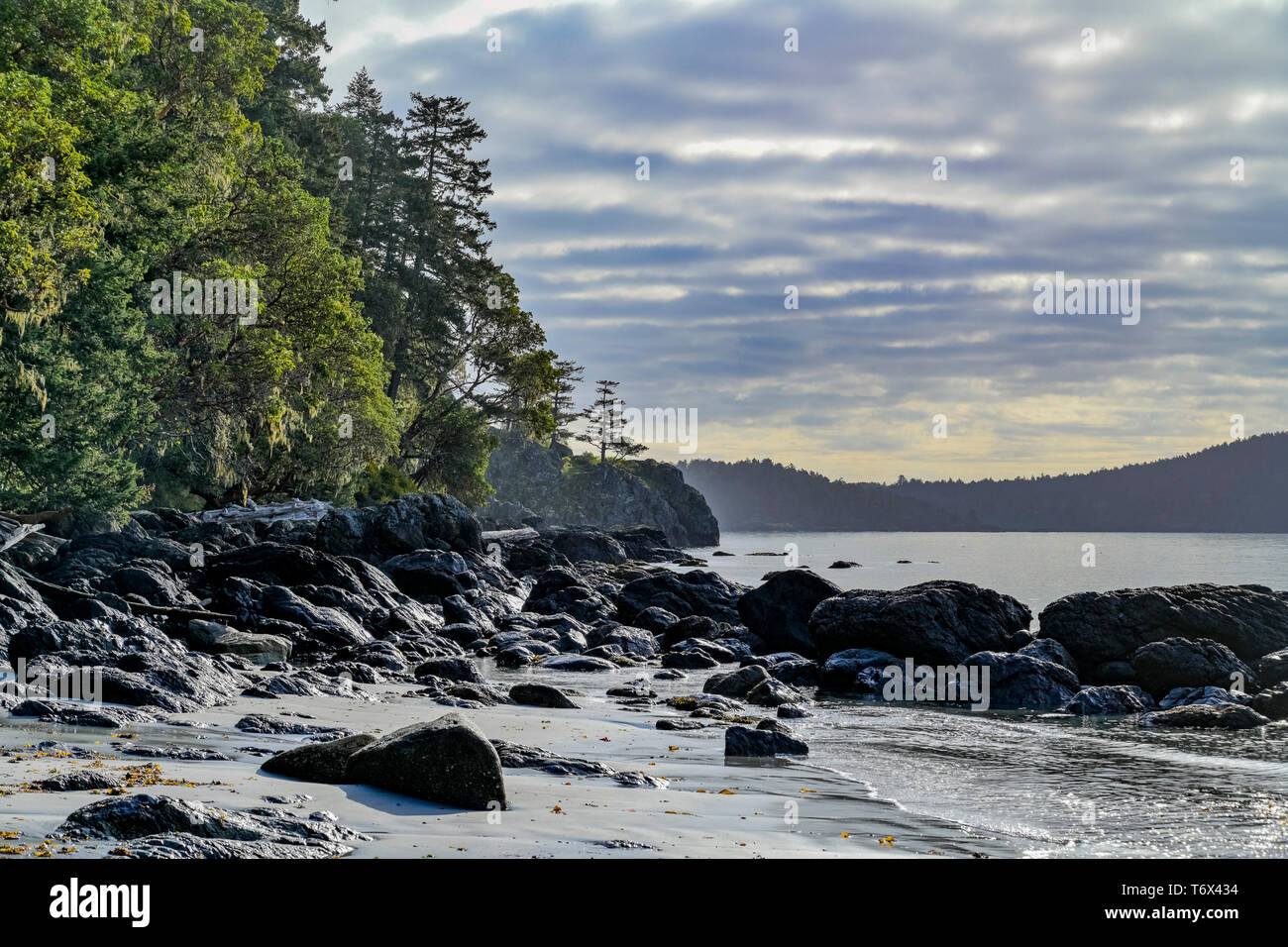 East Sooke parco regionale, l'isola di Vancouver, British Columbia, Canada Foto Stock
