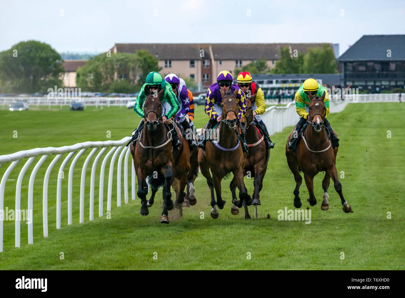 Musselburgh, East Lothian, Scozia, Regno Unito. Il 3 maggio, 2019. Appartamento Horse Racing : 14.55 Weatherbys stallone Prenota gara di Handicap. La corsa dei cavalli lungo il rettilineo primo tratto con foresta Coolagh cavalcato da Paolo Hanagan il vincitore identificato da una maglia di colore viola con le stelle Foto Stock