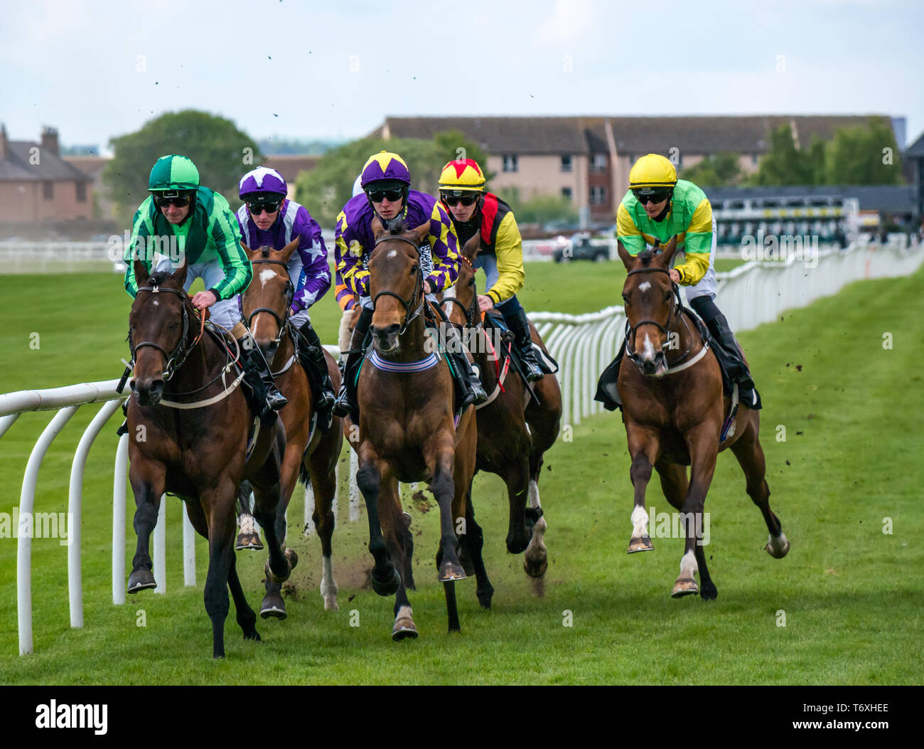 Musselburgh, East Lothian, Scozia, Regno Unito. Il 3 maggio, 2019. Appartamento Horse Racing : 14.55 Weatherbys stallone Prenota gara di Handicap. La corsa dei cavalli lungo il rettilineo primo tratto con foresta Coolagh cavalcato da Paolo Hanagan il vincitore identificato da una maglia di colore viola con le stelle Foto Stock