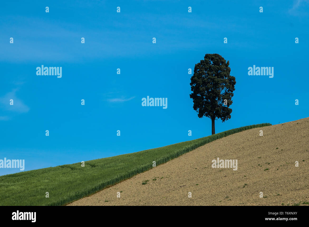 Colorato paesaggio della campagna italiana durante la stagione primaverile Foto Stock