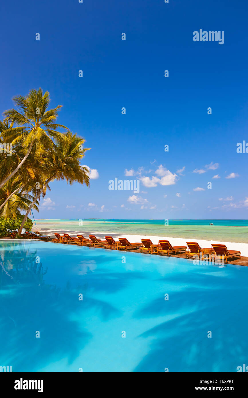 Sedie a sdraio e piscina sulla spiaggia delle Maldive Foto Stock