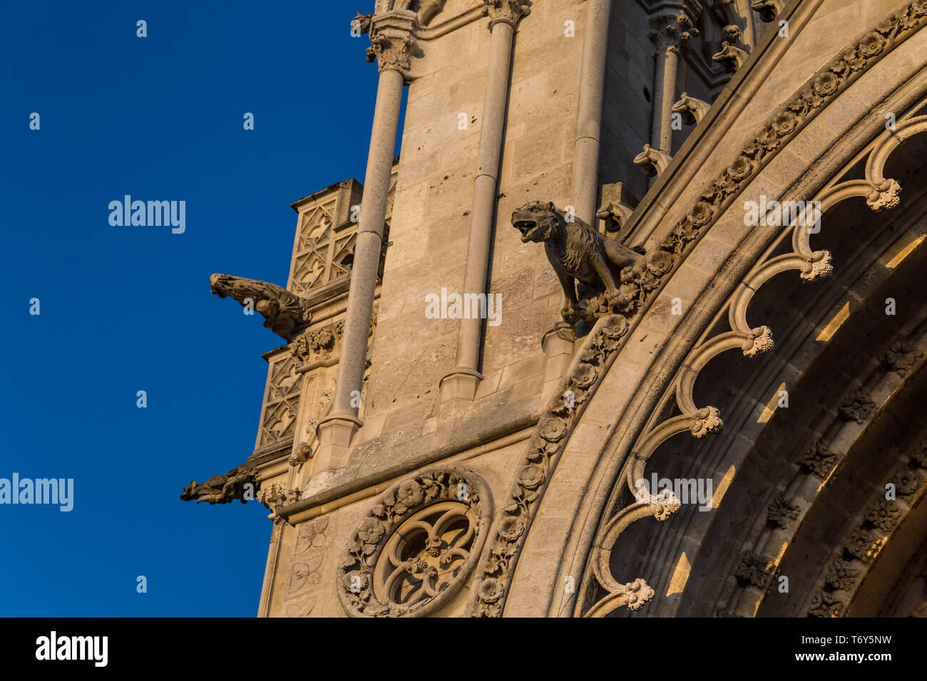 Doccioni sulla una cattedrale gotica Foto Stock