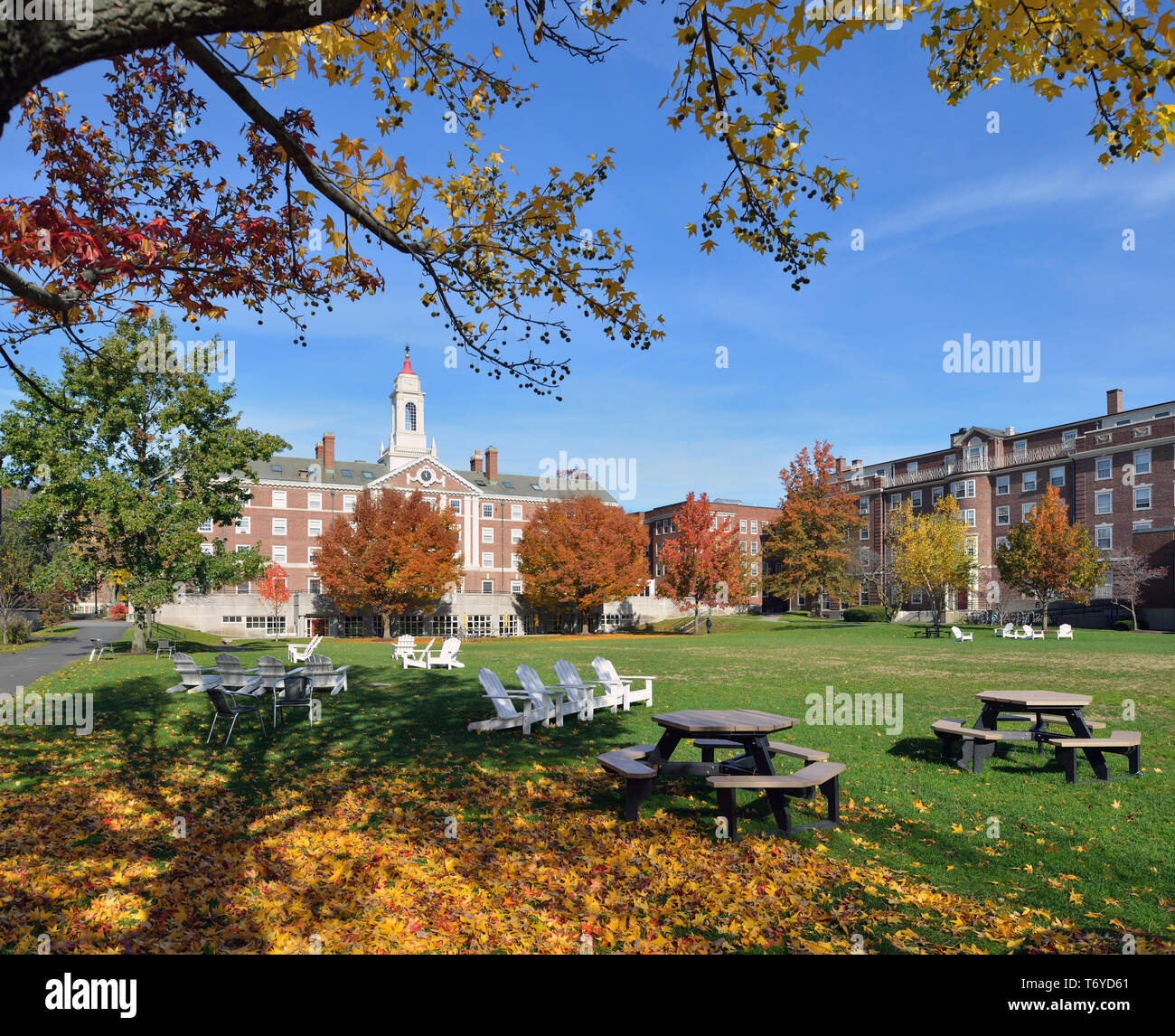 Radcliffe quadrangolo, Harvard University, in autunno. Cupola rossa, torre bianca, edifici in mattoni, cielo blu, verde erba, sedie in legno, foglie di autunno… Foto Stock