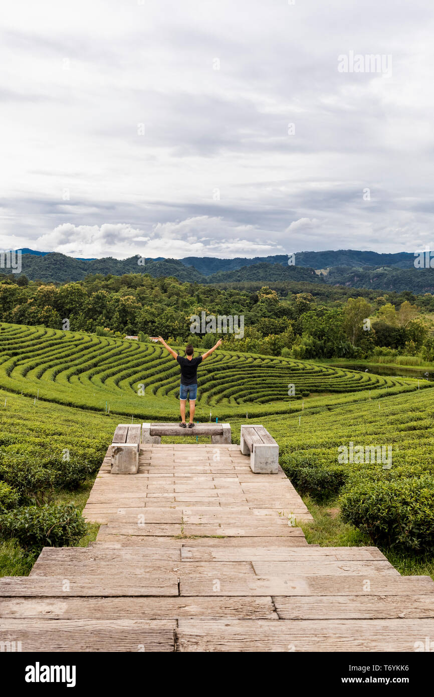 L'uomo godere della vista di una delle colture di tè in una fattoria in Chiang Rai, Thailandia. Foto Stock