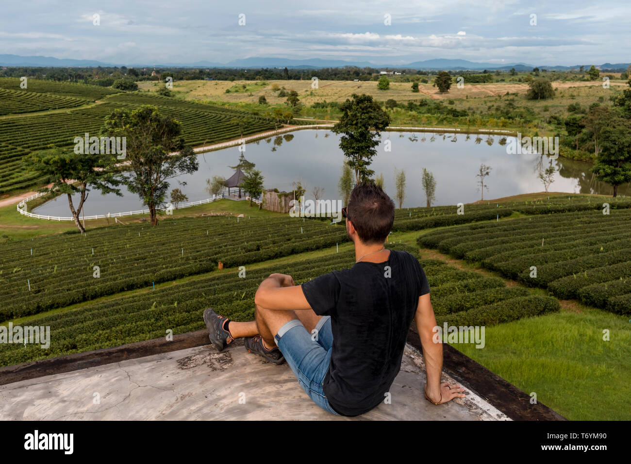 Viaggiatore che cerca una vista panoramica di coltivazioni di tè in Chiang Rai, tailandese Foto Stock