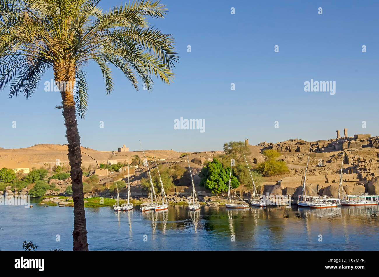 Vista Isola Elefantina, vela feluche e antiche rovine sul Fiume Nilo, aswan egitto Foto Stock