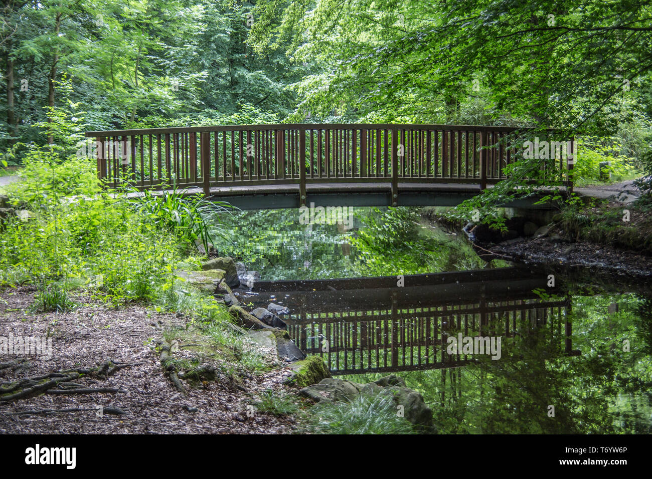 Ponte in legno sul torrente Foto Stock