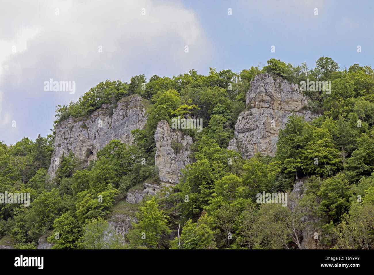 Parete di roccia nella valle del Danubio vicino a Beuron Foto Stock