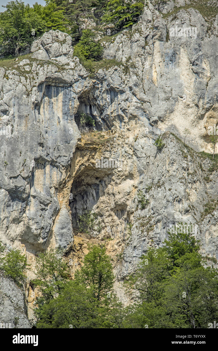 Parete di roccia nella valle del Danubio vicino a Beuron Foto Stock