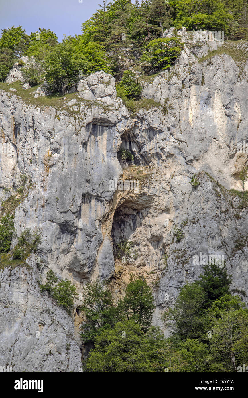 Parete di roccia nella valle del Danubio vicino a Beuron Foto Stock