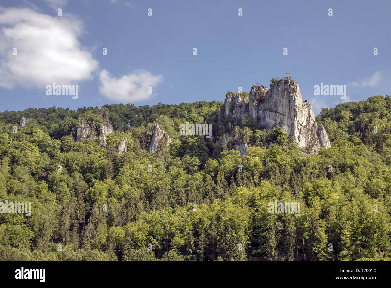 Parete di roccia nella valle del Danubio vicino a Beuron Foto Stock
