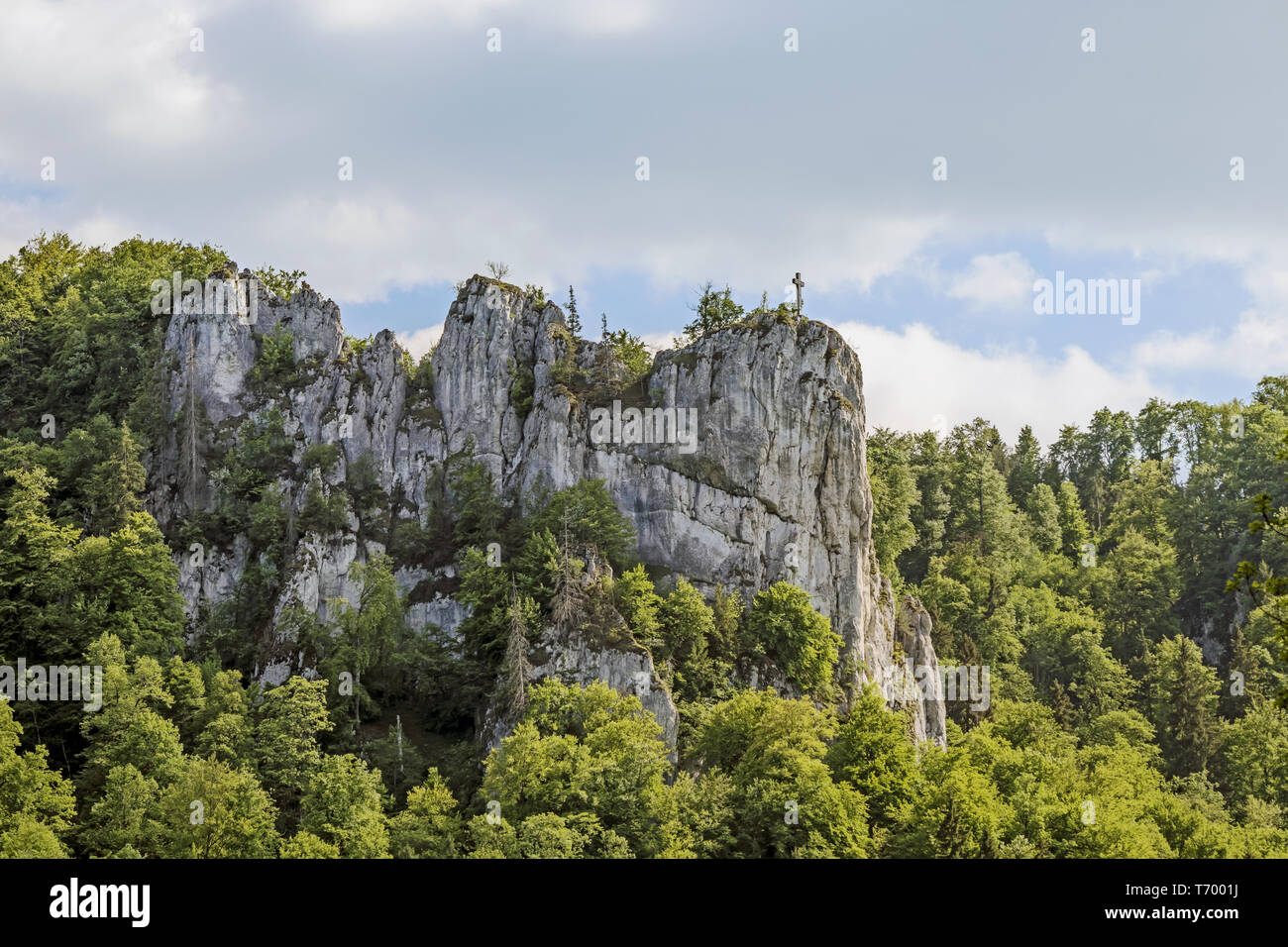 Parete di roccia nella valle del Danubio vicino a Beuron Foto Stock