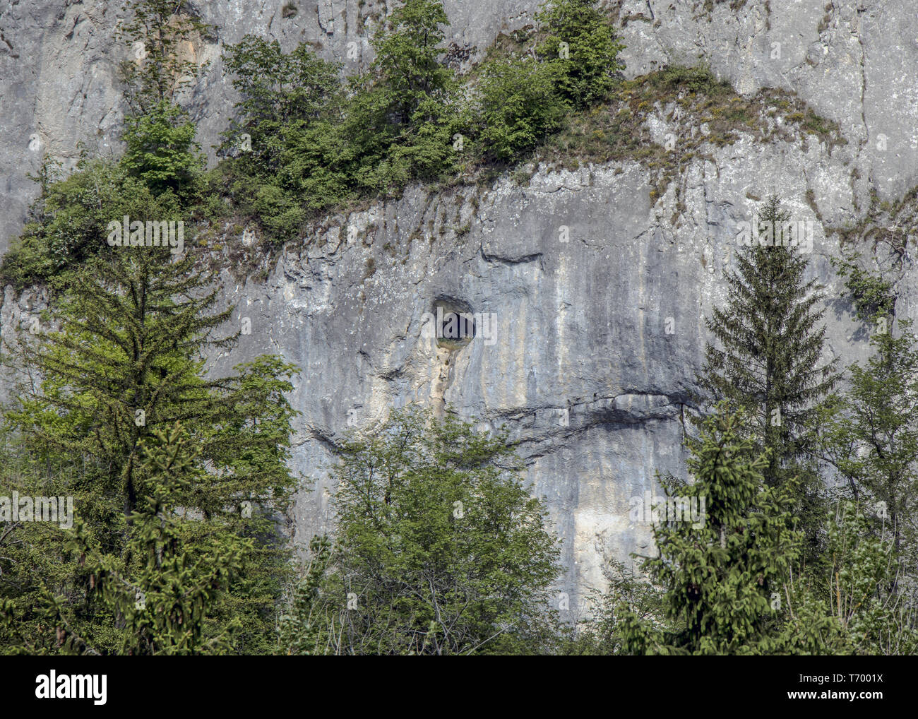 Parete di roccia nella valle del Danubio vicino a Beuron Foto Stock