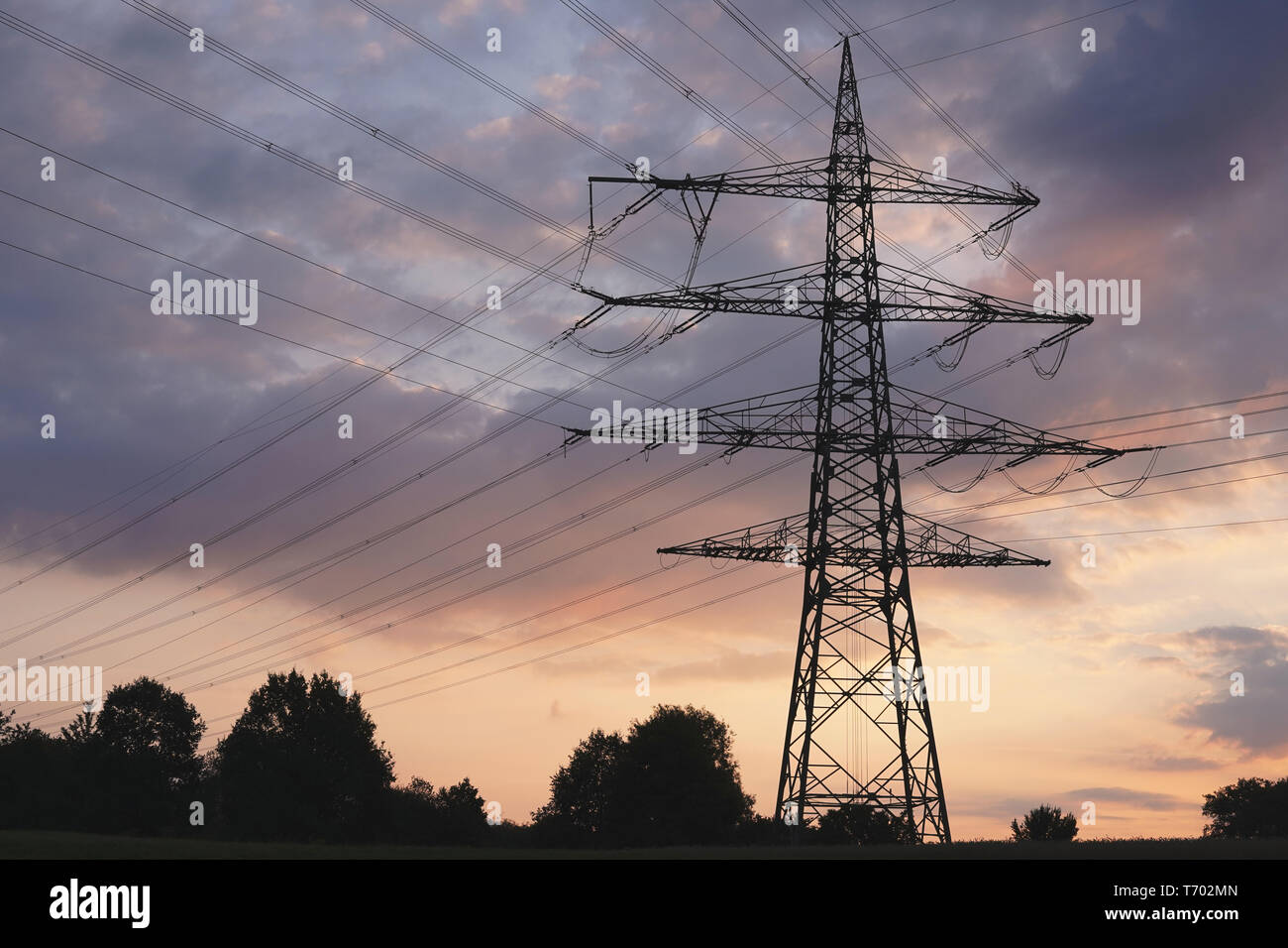 Le linee di alimentazione silhouette al mattino Foto Stock