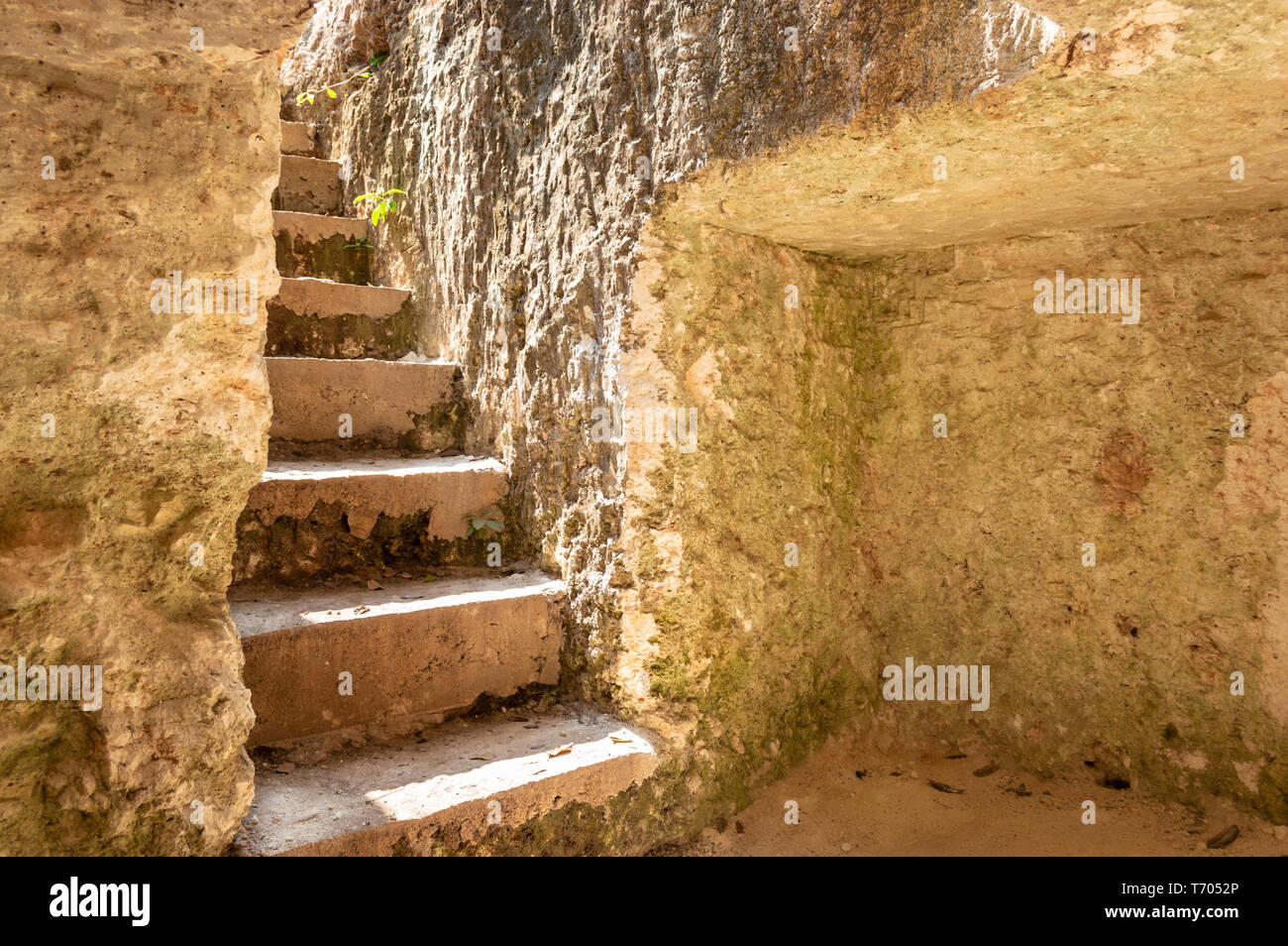 Caverna al museo Becal, impiegate per i tradizionali cappello di Panama. Il tasso di umidità della caverna è di importanza cruciale per il buon esito del cappello. Campeche, Messico. Foto Stock