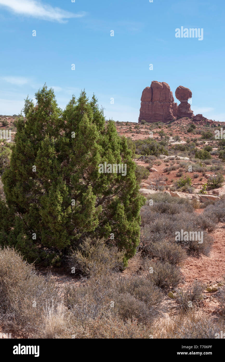 Roccia equilibrato nel Parco Nazionale di Arches Foto Stock