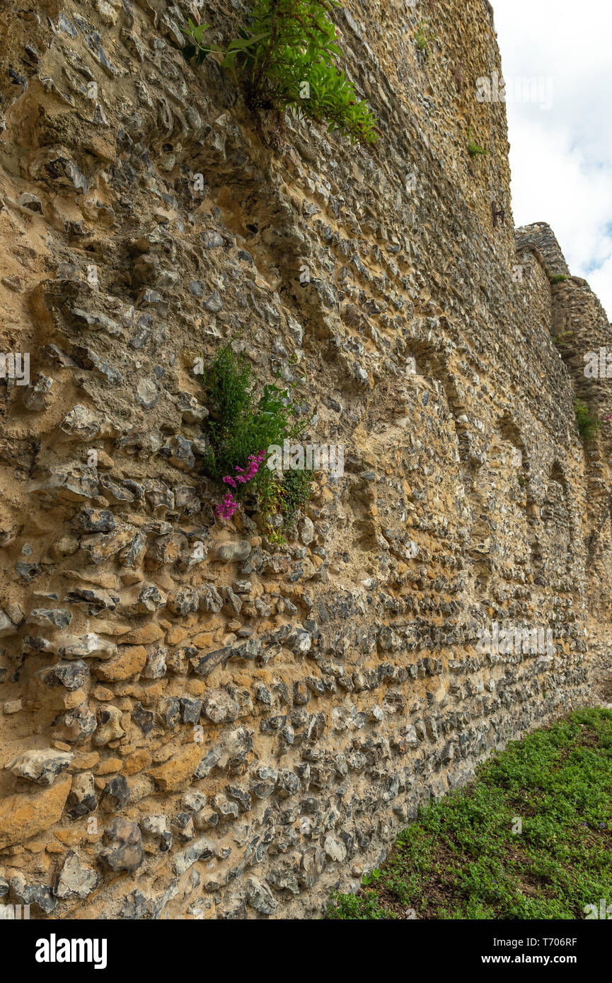 Le rovine dell'abbazia, Reading Berkshire REGNO UNITO Foto Stock