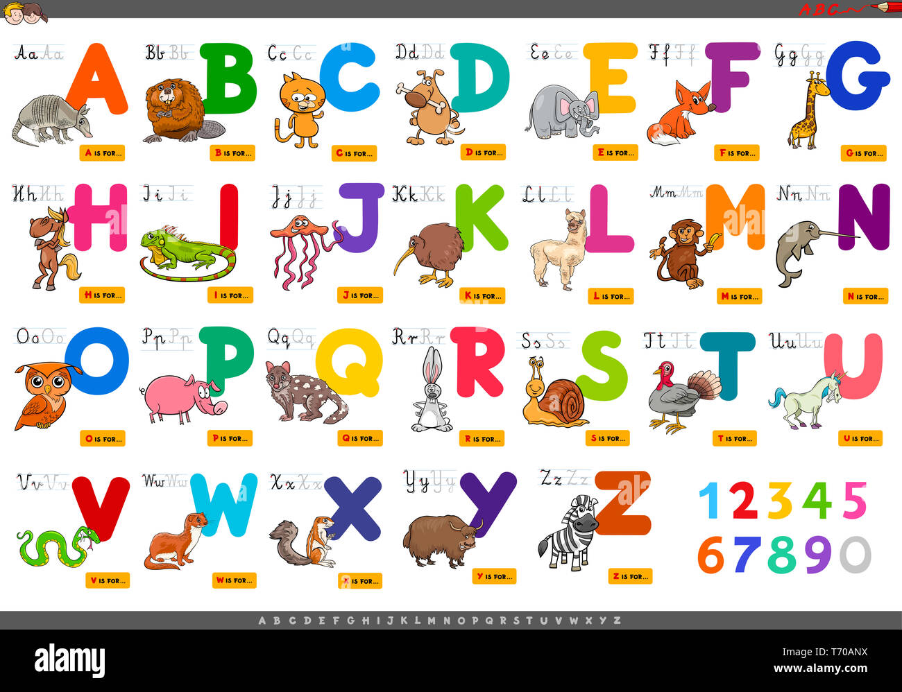 Cartone animato educativo lettere alfabeto per l apprendimento Foto Stock