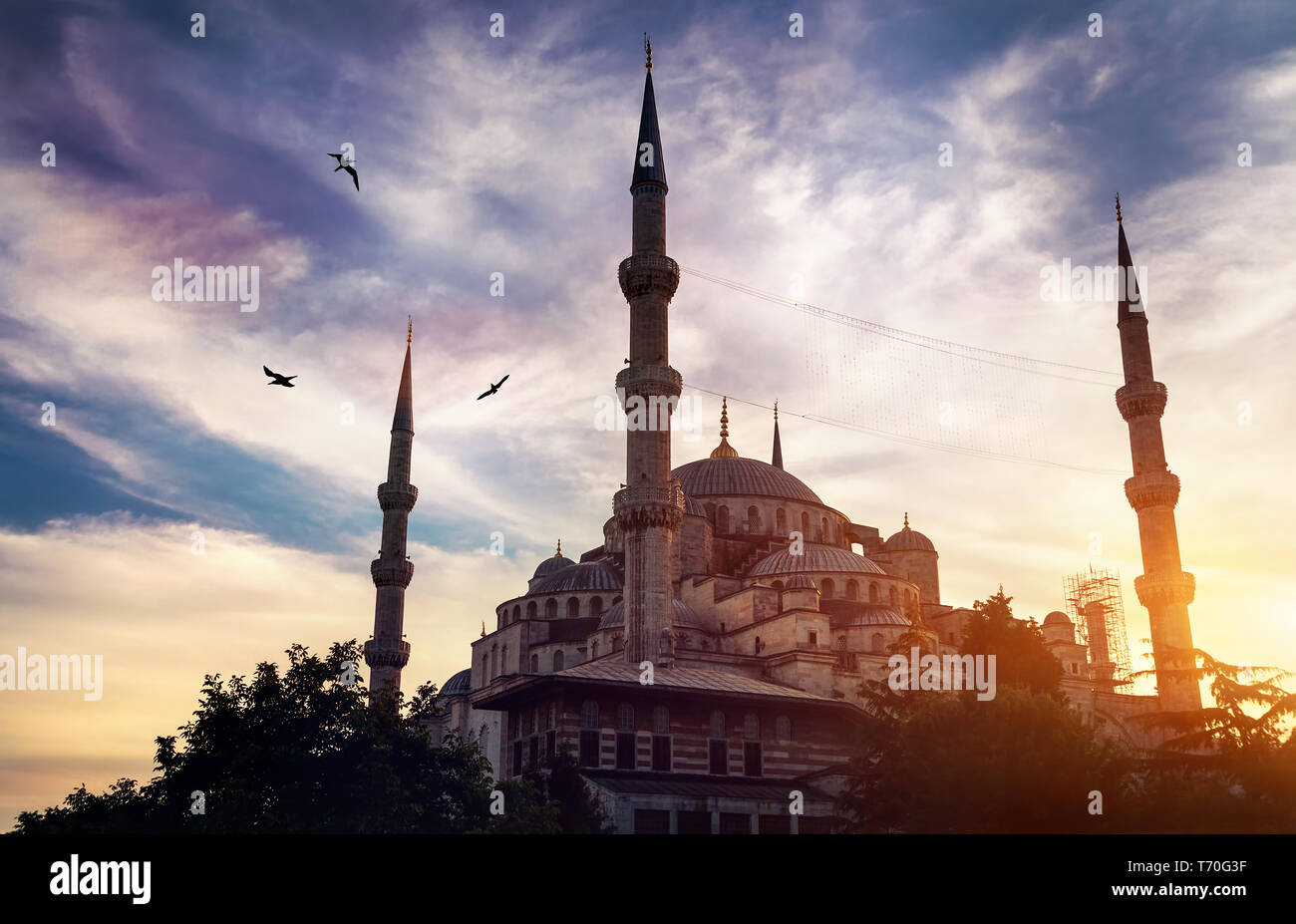 La moschea blu silhouette al tramonto nel parco di Sultanahmet, Istanbul, Turchia Foto Stock