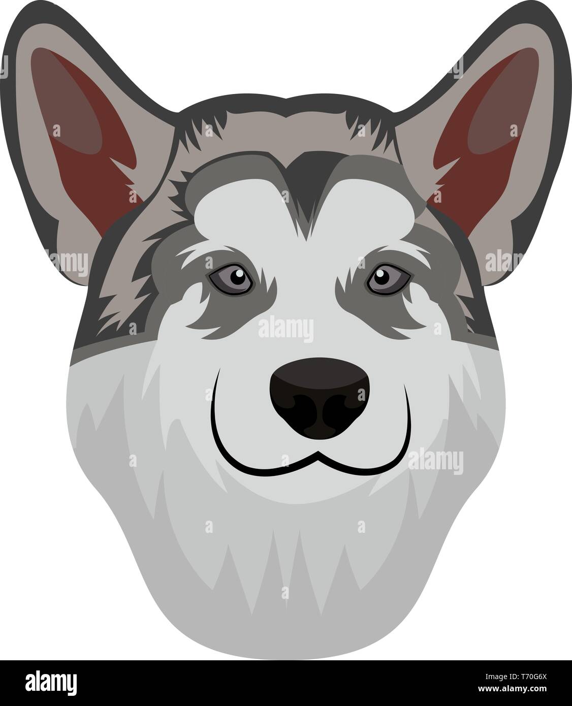 Alaskan Malamute illustrazione vettore su sfondo bianco Illustrazione Vettoriale