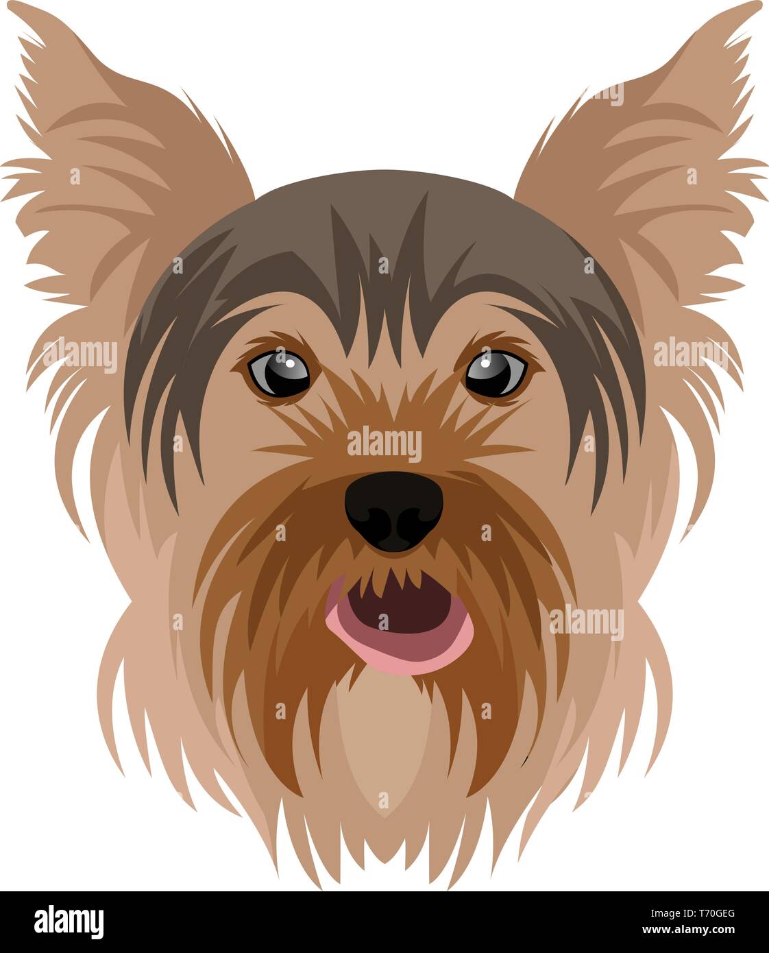 Yorkshire Terrier illustrazione vettore su sfondo bianco Illustrazione Vettoriale