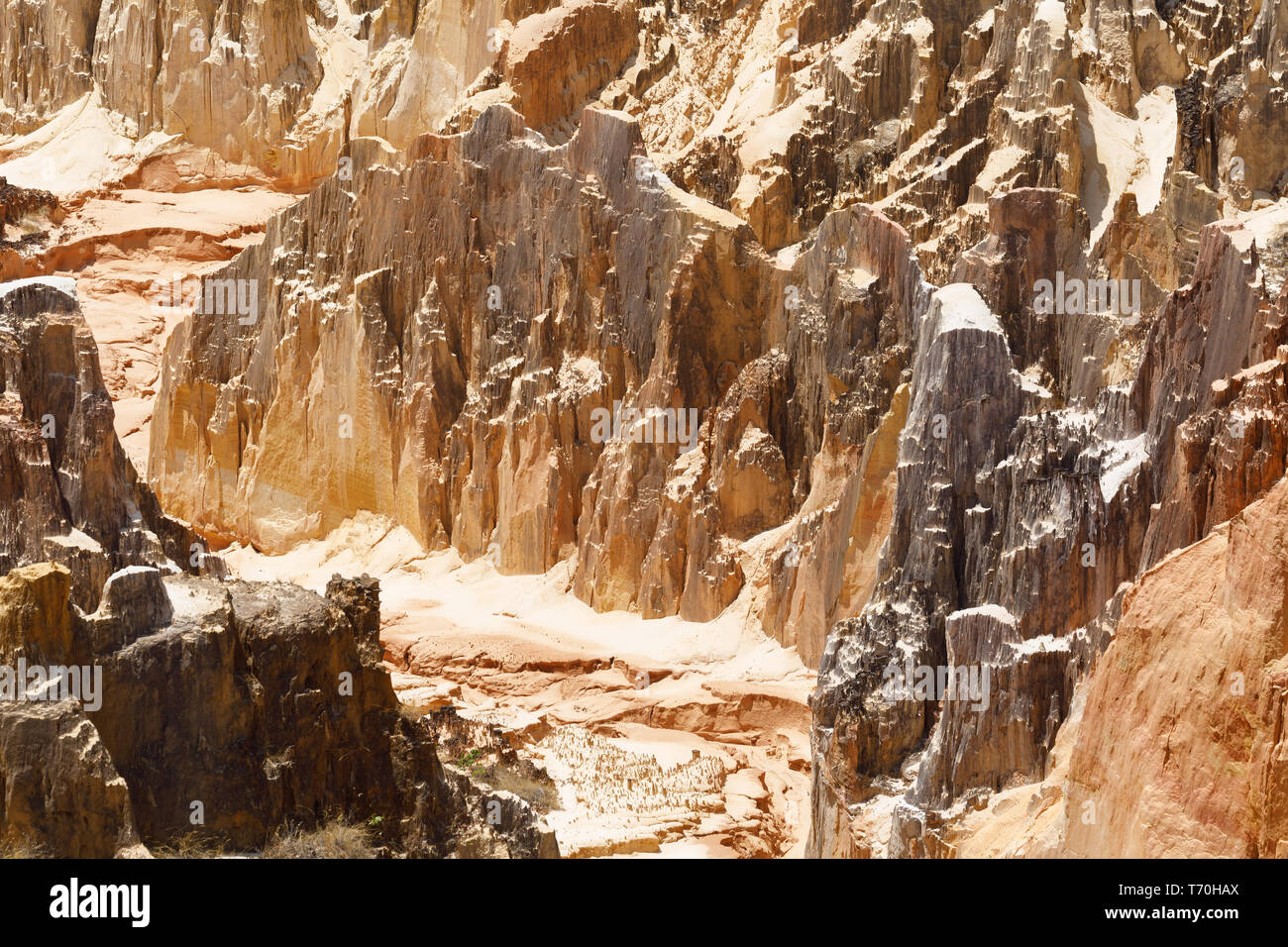 Ankarokaroka canyon di Ankarafantsika, Madagascar Foto Stock