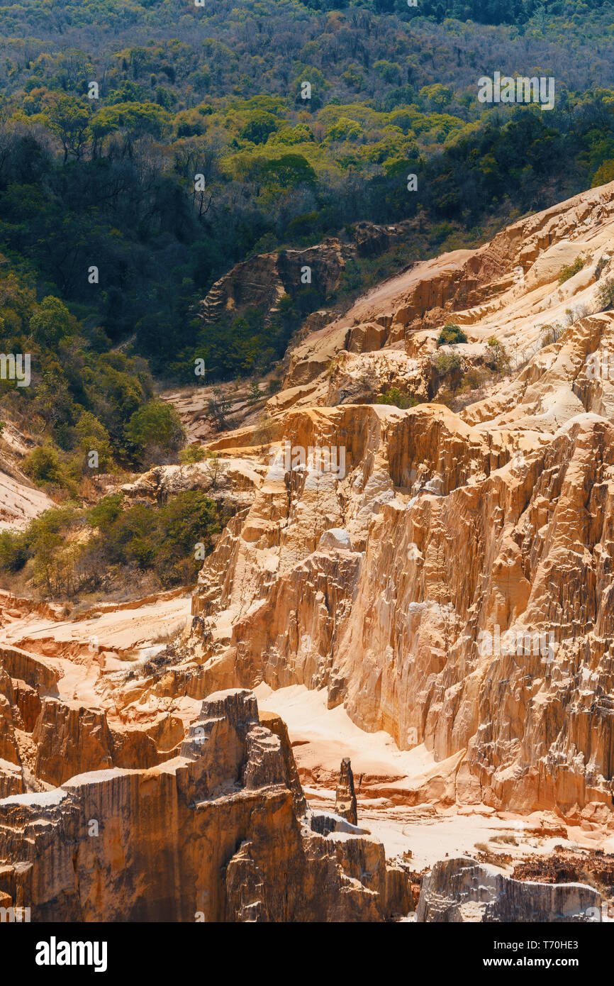 Ankarokaroka canyon di Ankarafantsika, Madagascar Foto Stock