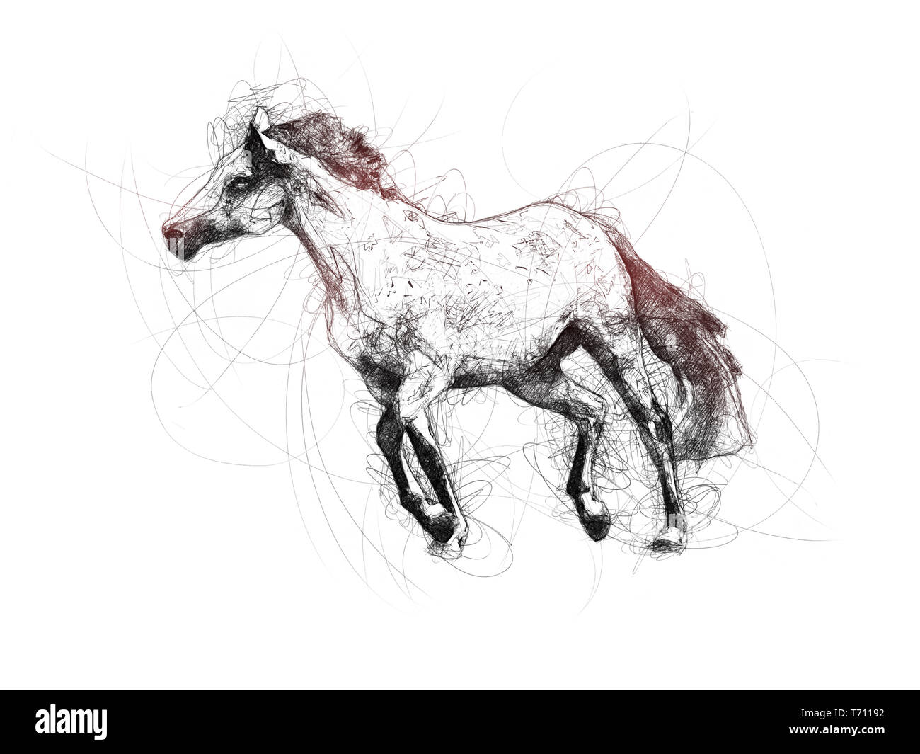 Grande cavallo Penna biro Doodle illustrazione Foto Stock