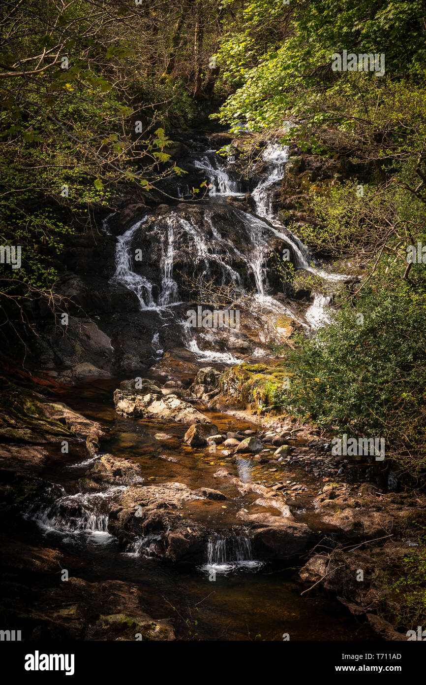 Le Fairy Falls cascate all Trefriw, Snowdonia, il Galles del Nord Foto Stock