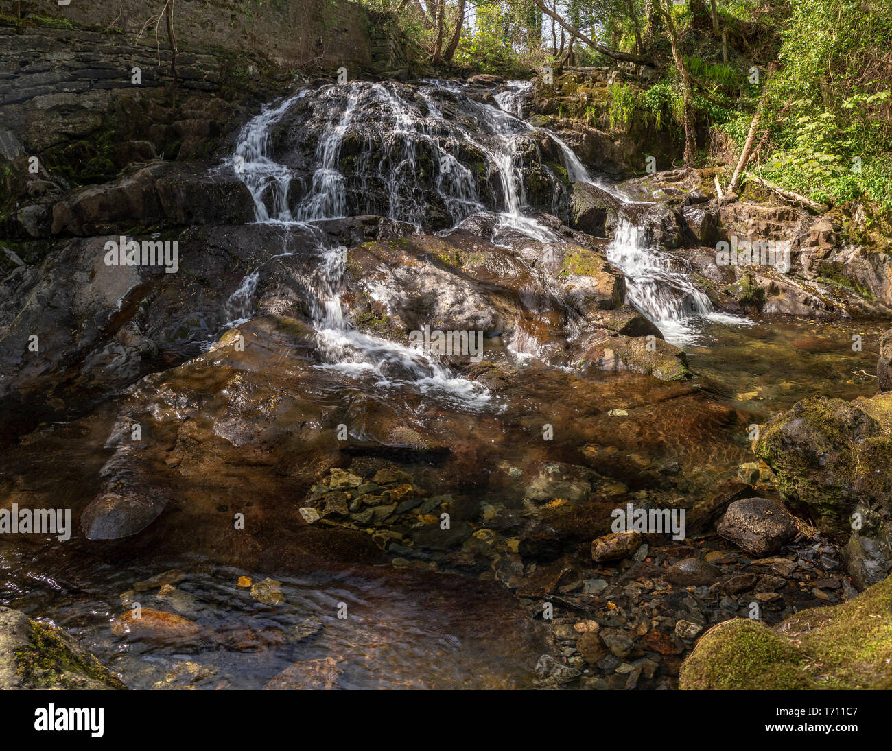 Le Fairy Falls cascate all Trefriw, Snowdonia, il Galles del Nord Foto Stock