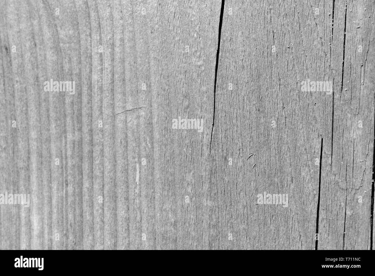La texture di una superficie di legno vicino. Sfondo di legno bianco e nero Foto Stock