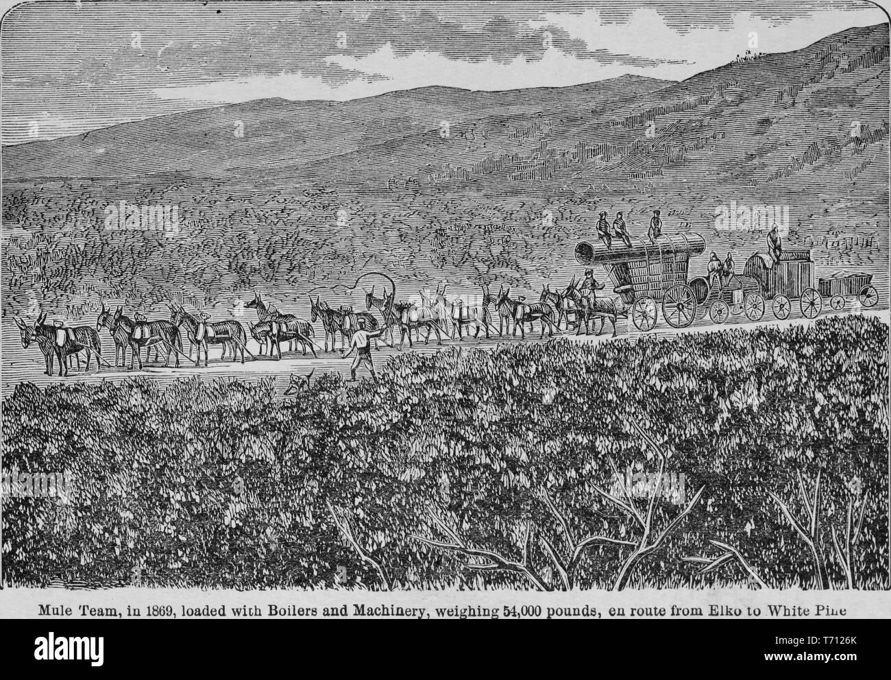 Incisione di un mulo team ha caricato con i macchinari di Antelope Valley, dal libro "Crofutt è di nuovo overland e turistiche della costa del Pacifico' guida, pino bianco County, Nevada, 1879. La cortesia Internet Archive. () Foto Stock