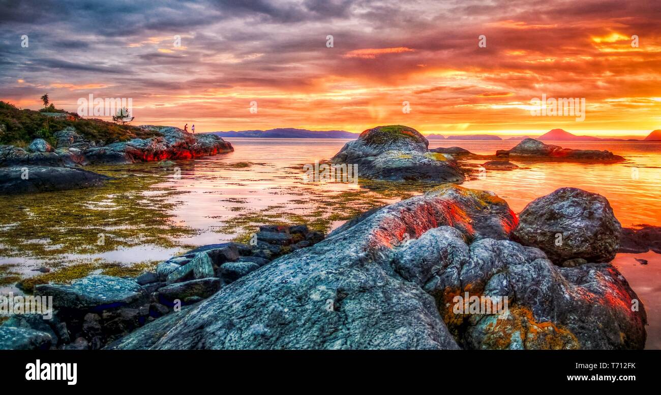 Natura ruvida nel paesaggio norvegese in estate Foto Stock