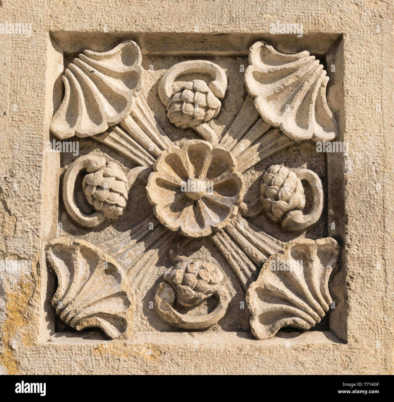 Scolpito in pietra di piante e fiori decorativi ornamento antico Foto Stock