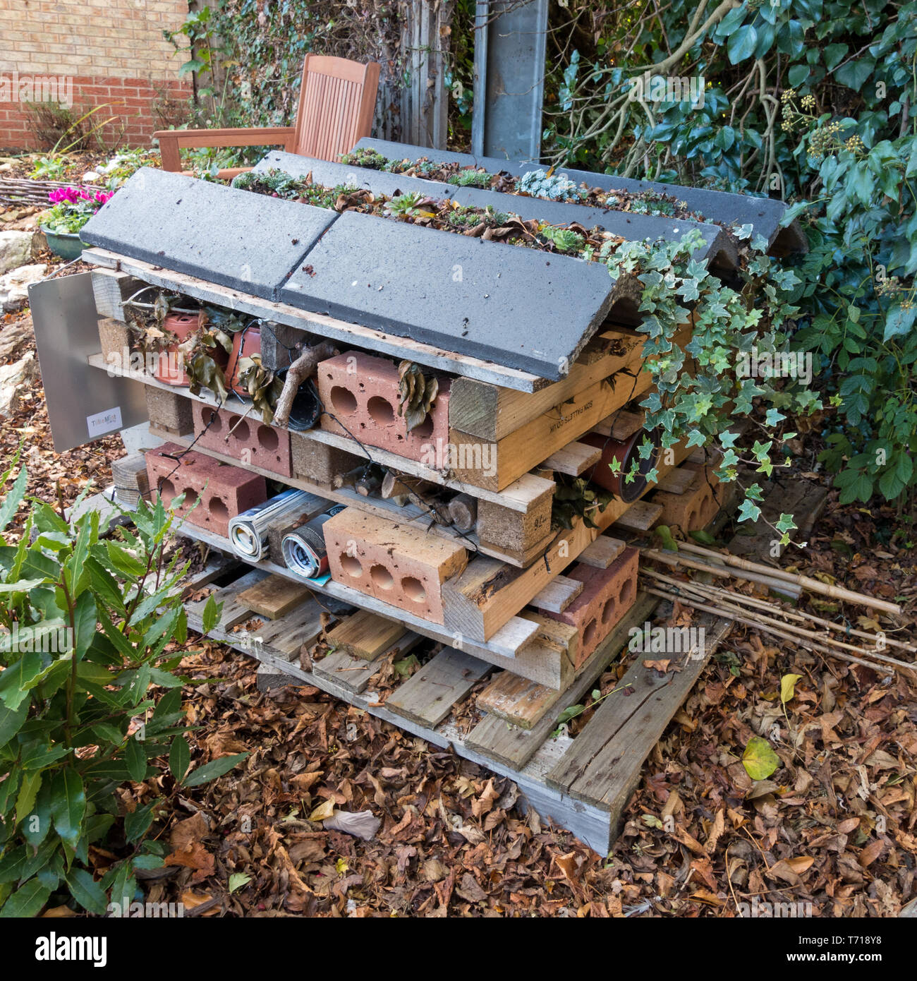 In casa rustico wildlife hotel, di insetti e di bug house, Inghilterra, Regno Unito. Foto Stock