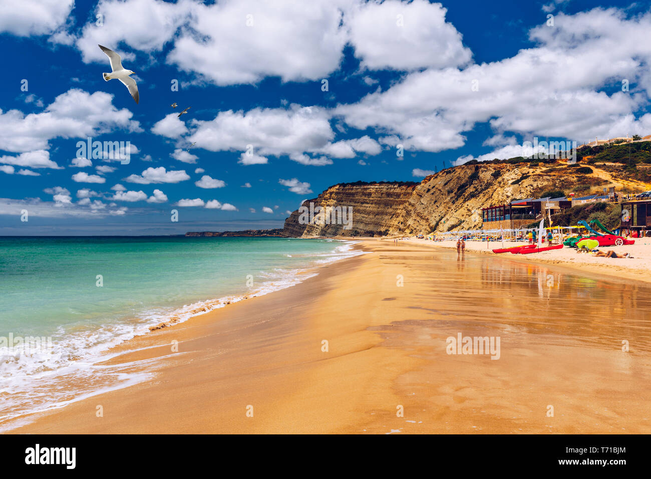 Praia de Porto de Mos con i gabbiani sorvolano la spiaggia, Lagos, Portogallo. Praia do Porto de Mos, lunga spiaggia di Lagos, regione di Algarve, Portogallo. Foto Stock