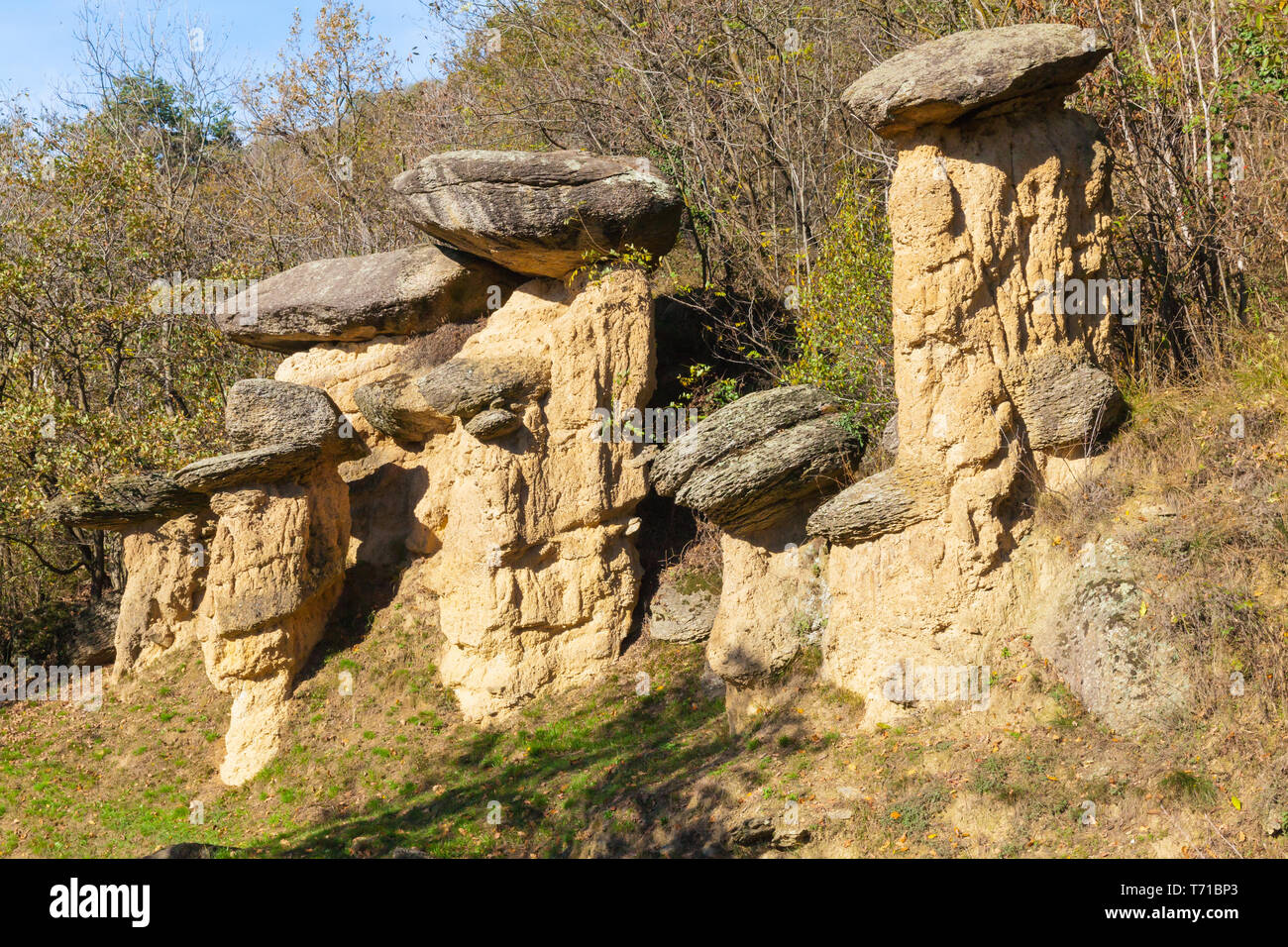 A forma di fungo rocce riserva naturale Ciciu del Villar Foto Stock